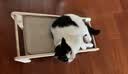 梵都宠舍实木剑麻猫抓板69cm加大号剑麻垫L型猫抓板 实拍图