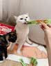 多特思猫零食猫条混合口味15g100支0添加0诱食剂防掉毛成幼猫咪鱼油罐头 实拍图