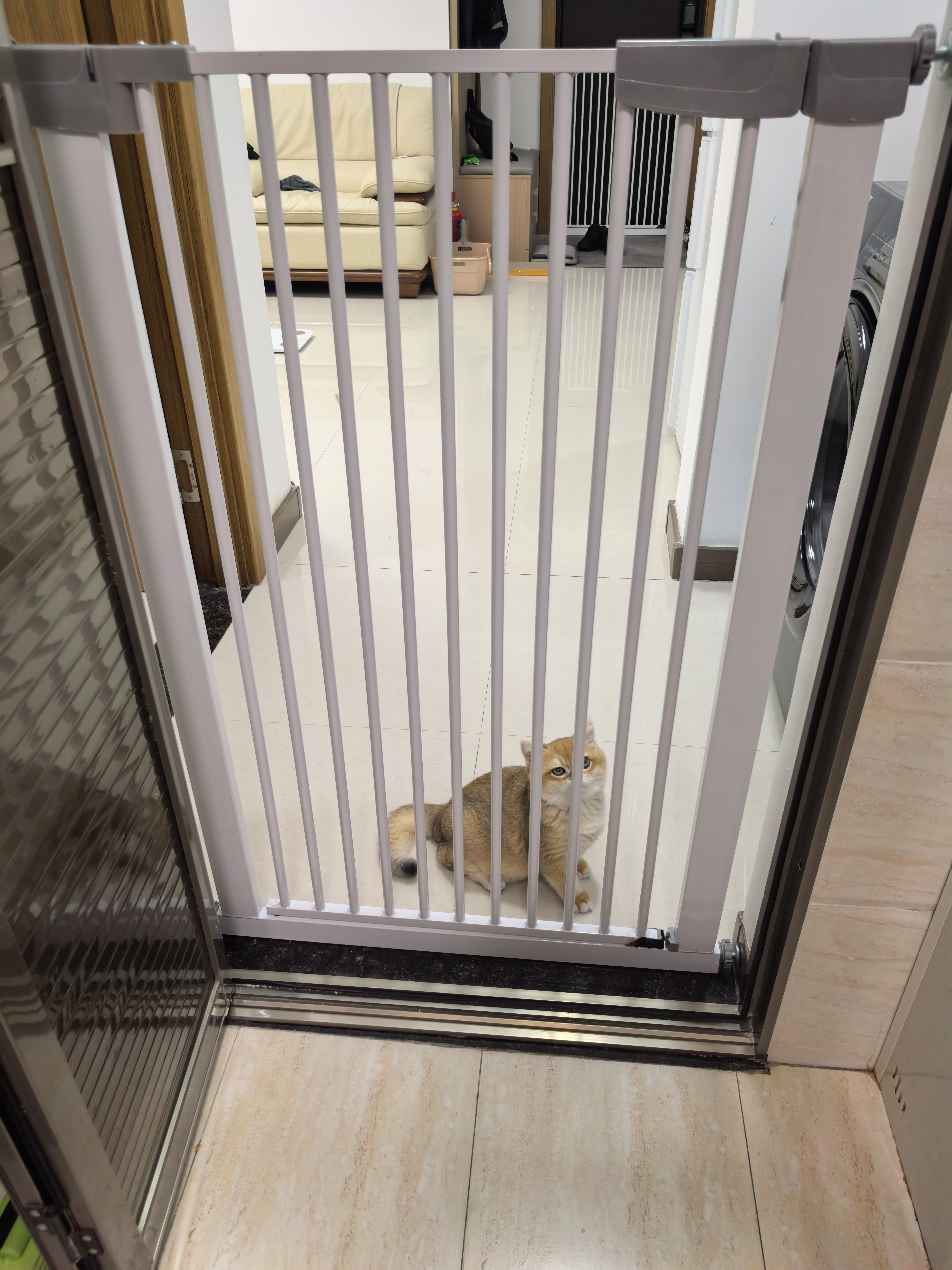 润逸达免打孔挡拦防宠物猫咪狗狗门栏围栏隔断隔离栅栏护栏杆家用室内 高度100厘米（自动门） 适合门宽71-76厘米 实拍图