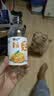芒果汁 果味果汁饮料【包装随机发货】 360mL*2瓶【品尝】 实拍图