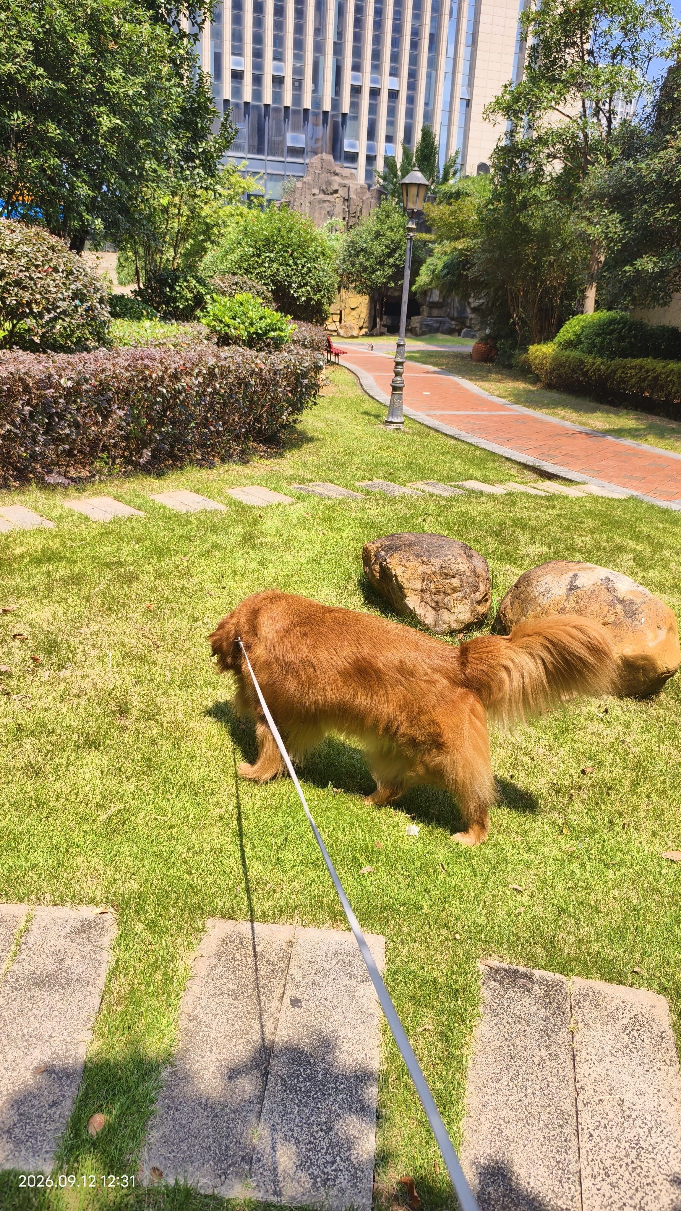 伯纳天纯生鲜1.0鸭肉梨狗粮小型犬中大型犬幼犬成犬全价通用犬粮24斤/12kg 实拍图