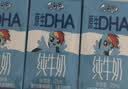 QQ星原生DHA儿童纯牛奶125ml*16盒 开学中秋礼品 实拍图
