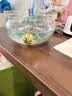 贝初众鱼缸生态缸中小圆形玻璃鱼缸加厚斗鱼缸金鱼缸懒人客厅桌面鱼缸 20*15*10cm 裸缸 实拍图