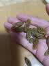 新疆葡萄干 特级葡萄干*1包(拍2发3包） 实拍图