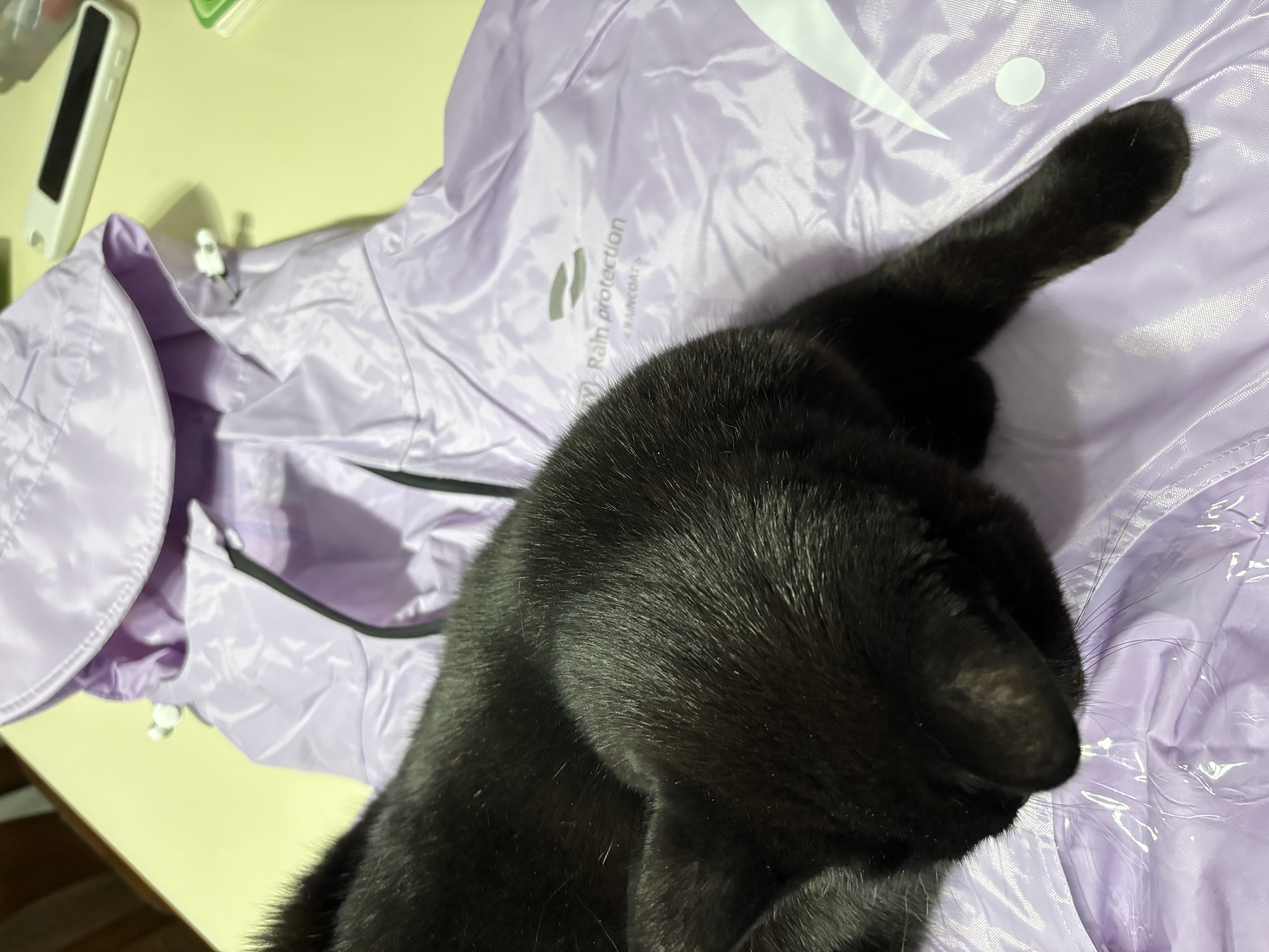 亿迪冻干鸡肉粒成猫幼猫狗宠物零食干营养主食纯肉超大桶1斤装 实拍图