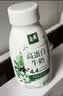 伊利金典4.4g高蛋白牛奶整箱 250ml*10瓶  中秋礼品礼盒装 实拍图