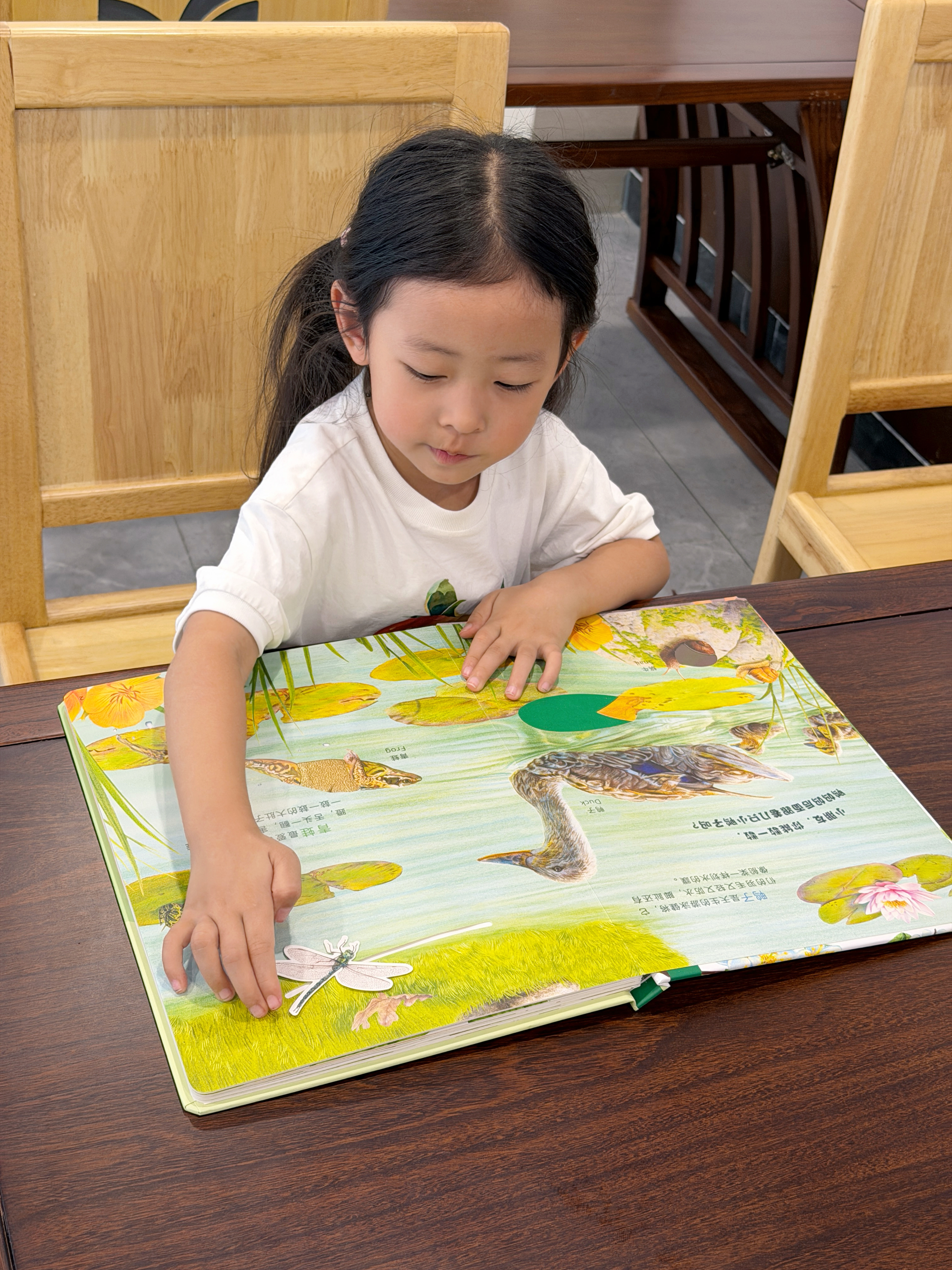 会动的触摸大书点读版 0-2-3岁宝宝的第一本触摸书小兔比利婴幼儿童启蒙认知英语早教益智地板亮丽精美绘本立体翻翻机关书小鸡球球 【0-3岁宝宝】会动的触摸大书点读版 实拍图