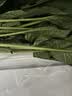 大菠菜300g 实拍图