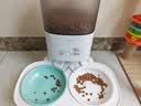 冠能猫粮幼猫猫粮3周-12月龄3.5kg 全价猫粮 添加牛初乳 增肥发腮 实拍图