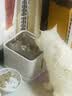 小甜橙猫咪饮水机恒温加热无线水泵抑菌不插电宠物饮水器 实拍图