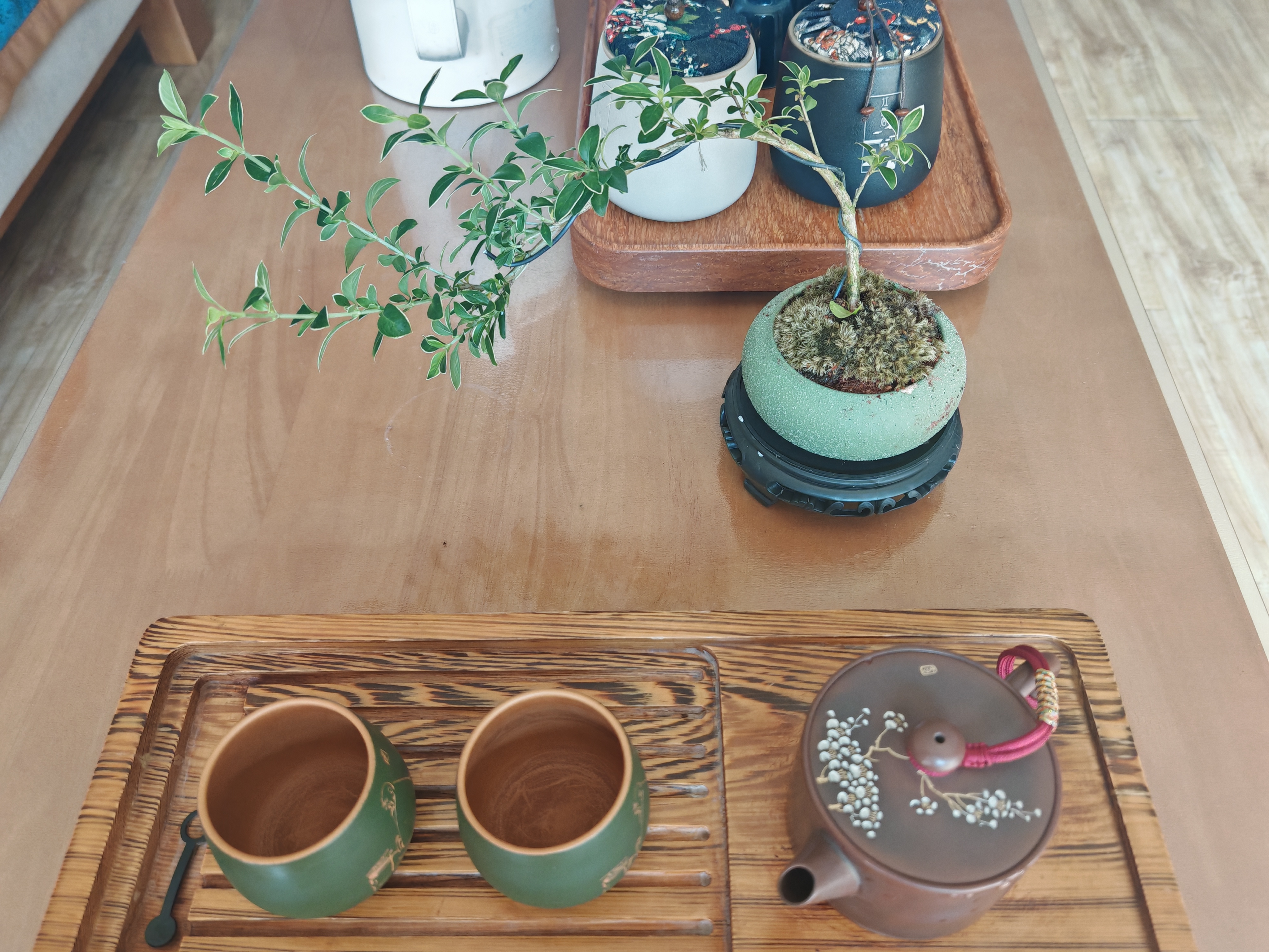 开时果 金边悬崖六月雪桌面好养盆景 办公室绿植盆栽植物室内禅意小摆件 特A级六月雪（绿色椭圆盆）送底座+苔藓 实拍图