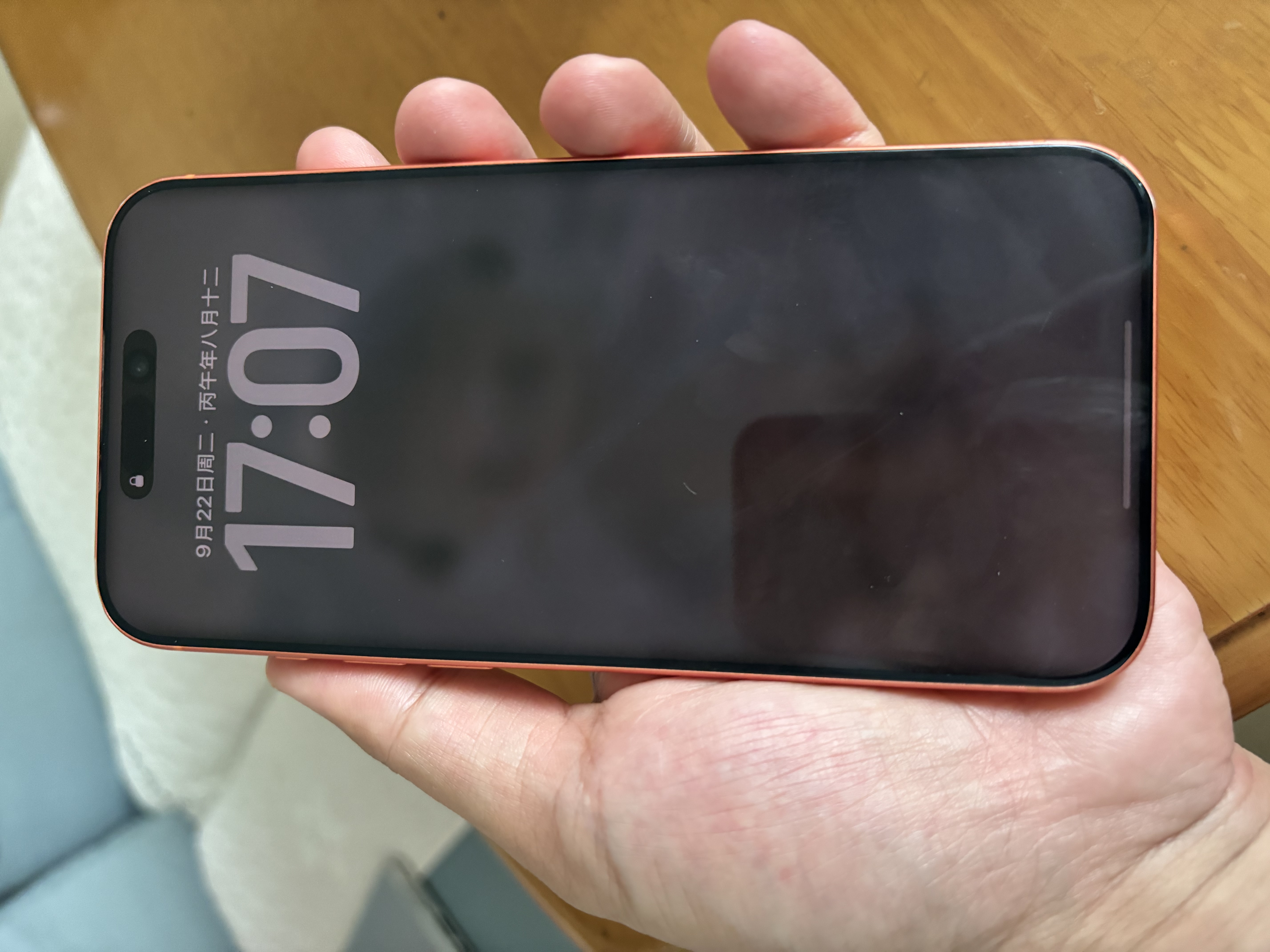 Apple/苹果【政府补贴限时限量】/iPhone 17 Pro 1TB 星宇橙色 支持移动联通电信5G 双卡双待手机送家人 实拍图