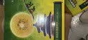 佳沛（zespri）新西兰金奇异果16粒经典果88-103g猕猴桃中秋节礼品送水果礼盒 实拍图