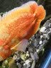 吉印刀锋s鱼缸灯led灯防水全光谱鱼缸照明灯水草灯小型专用鱼灯76cm 实拍图