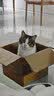 伟嘉猫粮成猫全价猫粮亮毛蓝猫均衡营养10kg海洋鱼夹心粮【原料透明】 实拍图
