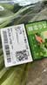 七鲜24小时富硒小油菜 250g 实拍图