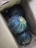 京鲜生 内蒙贝贝南瓜净3斤(粉糯瓜)中果300+蔬菜辅食板栗味源头直发 实拍图