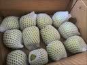 京觅山西青苹果净重8.5斤大果 单果160g+ 酸脆爽口 生鲜水果 源头直发 实拍图