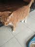 洁客猫砂膨润土除臭京东自营送货上门高效结团猫砂8kg*1箱 实拍图