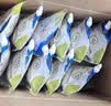 【原研药】[瑞代] 肠内营养乳剂(TPF-D)500ml/袋*20盒 实拍图