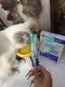 新宠之康宠物猫咪狗狗电解质葡萄糖粉能量恢复体弱虚钾钠液盐脱水中暑应激 实拍图