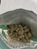 比比赞（BIBIZAN）龙岩花生蒜香味500g/袋 每日坚果炒货带壳干果小吃下酒休闲零食品 实拍图