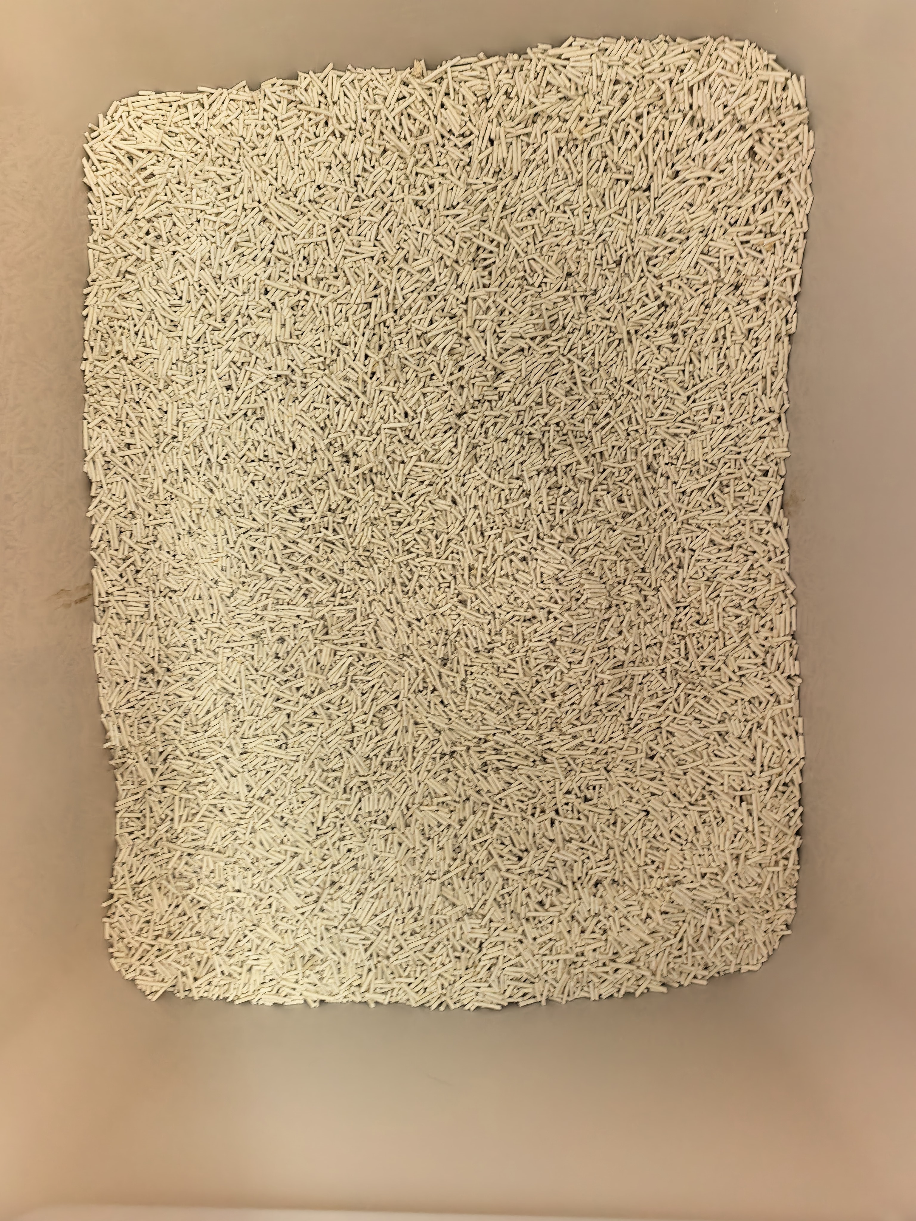 味当家原味豆腐猫砂10kg20斤除臭可冲厕所猫沙非混合猫砂豆腐2.5kg*4袋 实拍图