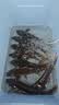 坤宁王乌龟白眼病药专用护龟宝片腐皮烂甲肿眼睁不开药水巴西肠炎鳖菌灵 实拍图