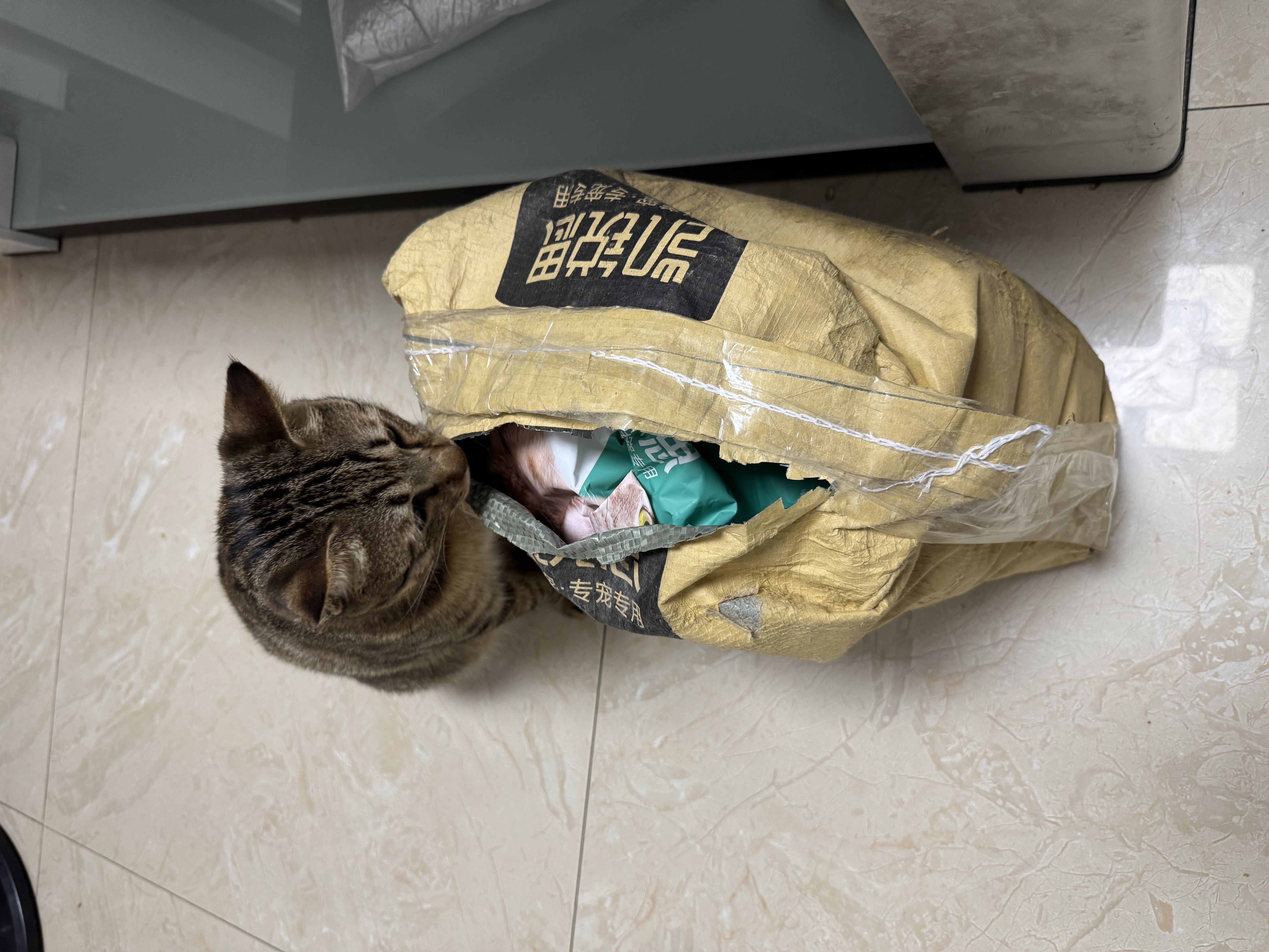 凯锐思豆腐猫砂除味猫沙豆腐砂豆腐渣低粉尘大颗粒结团吸水可冲厕所 【性价比豆腐砂4包】共18.4斤 实拍图