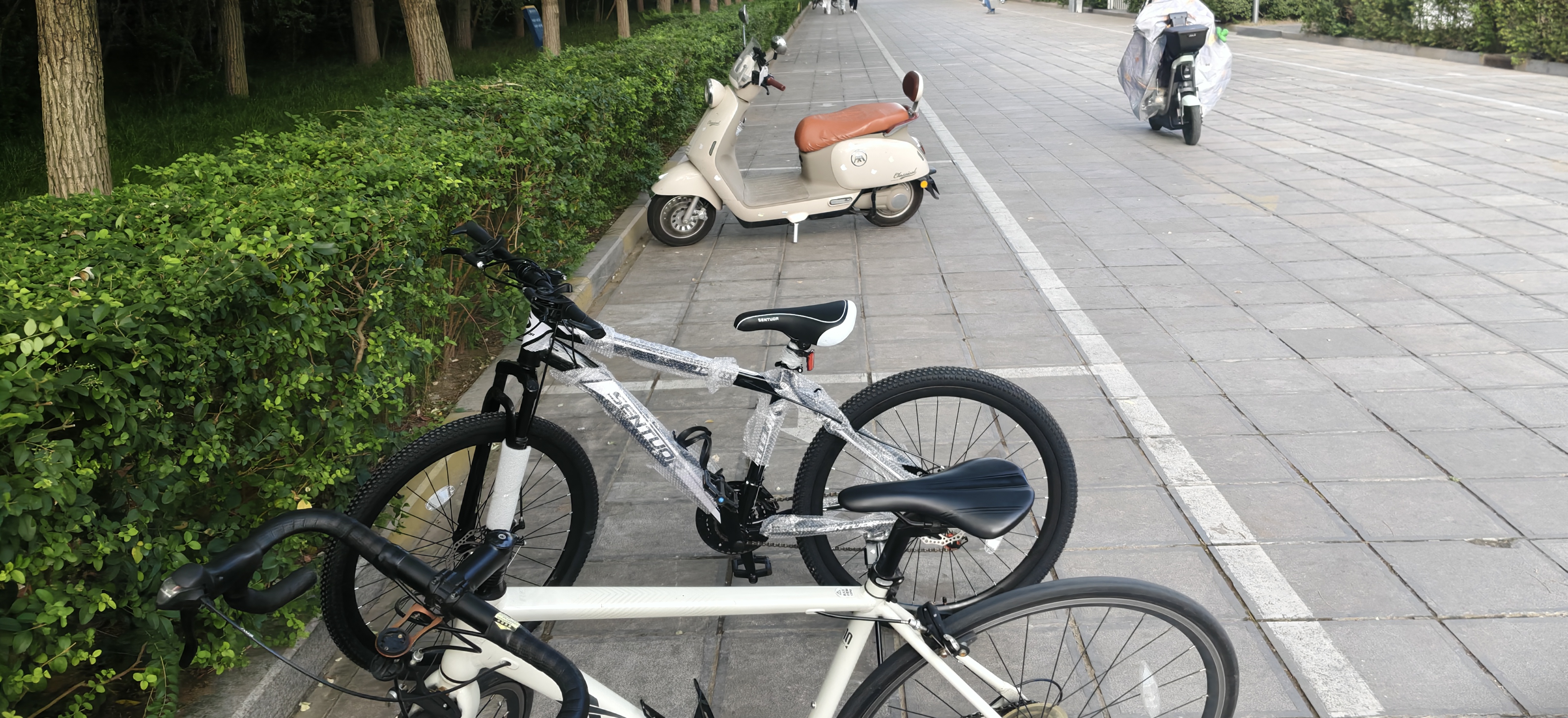 EG7山地自行车成人学生变速越野单车双减震赛车26寸青少年男女公路车 减震辐条-黑白【整车发货 免调试】 26寸21速【适合：160-180CM】 实拍图