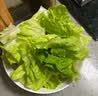 【烧烤季】钟灵山罗马生菜400g 实拍图