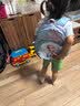 迪士尼（Disney）幼儿园书包3-6岁轻便可爱高颜值小包透气抑菌女童背包爱莎公主蓝 实拍图