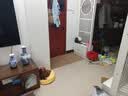 布鲁罗曼（BULULOM）入户门地垫仿剑麻地毯门垫进门脚垫驼黄色-仿剑麻-棉布底80*120cm 实拍图