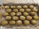 佳沛（zespri）金奇异果25-27粒原箱特大果124-146g猕猴桃中秋节礼品送水果礼盒 实拍图