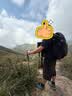 迪卡侬登山包MH500户外旅行徒步背包轻便出游露营大容量38L-5324238 实拍图