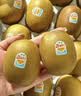佳沛（zespri）新西兰金奇异果30-33粒原箱103-124g猕猴桃中秋节礼品送水果礼盒 实拍图