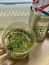 乐品乐茶毛尖茶叶特级明前春茶嫩芽2026新茶绿茶礼盒装250g自饮送长辈领导 实拍图