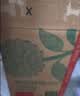 农夫山泉东方树叶茉莉花茶500ml*15瓶无糖茶饮料0糖0脂0卡整箱装 实拍图