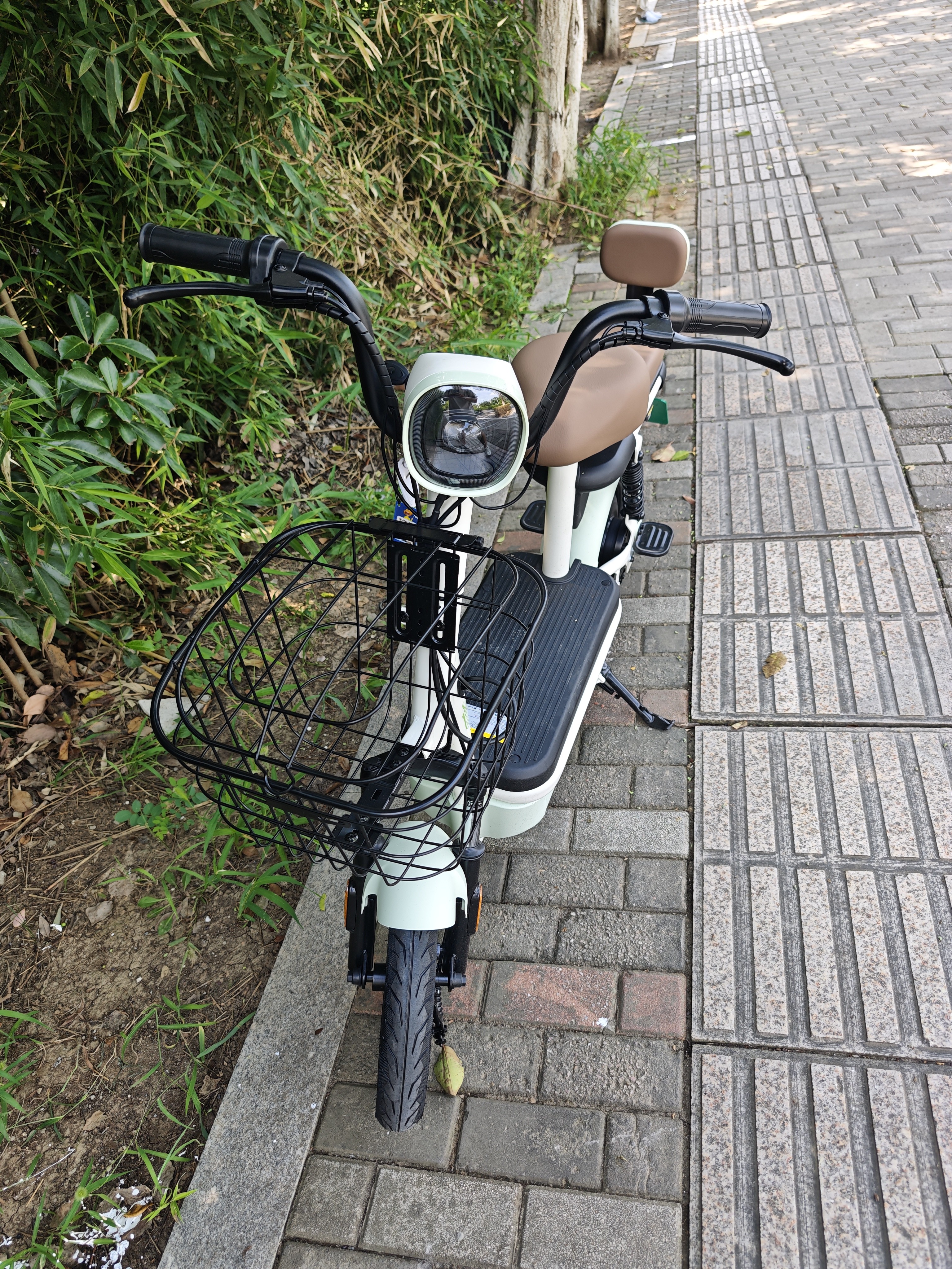 新日（Sunra）电动自行车 新国标小乐果京东自营电动车电动自行车长续航成人电瓶车家用代步电车绿 实拍图