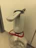 荣事达抽水器桶装水电动上水器纯净水桶取水器吸水器饮水机抽水泵压水器 紫光UV杀菌灯-水路可视【双档】 实拍图