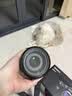 索尼（SONY）Alpha 7 IV 全画幅微单相机 创意外观滤镜+ SEL24105G 一镜走天下超值套装 4K视频 实拍图