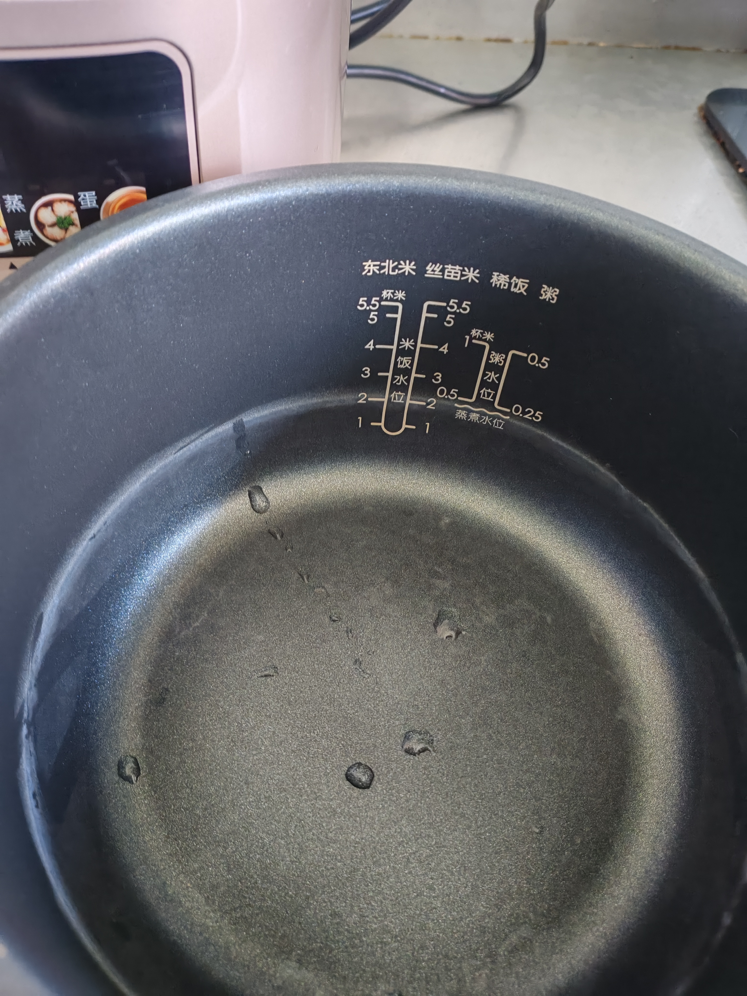 美的（Midea）小型电饭煲2026新款 微压焖香柴火饭小米粥电饭煲小1-2-3-4人 内胆不粘锅迷你电饭锅家用1-2-3人用 【26年新款】金刚布丁 3L 实拍图