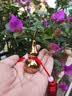 缤越黄铜葫芦挂件开口葫芦带朱砂铜葫芦摆件客厅办公室装饰约6.6cm高 实拍图