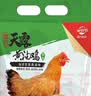 温氏供港黄油鸡净重2斤 120天 冷冻黄油母鸡农家土鸡整鸡 炸鸡鸡肉 实拍图
