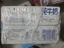 三元小福纯牛奶整箱227ml*16包 枕包 营养早餐伴侣中秋送礼丁禹兮同款 实拍图