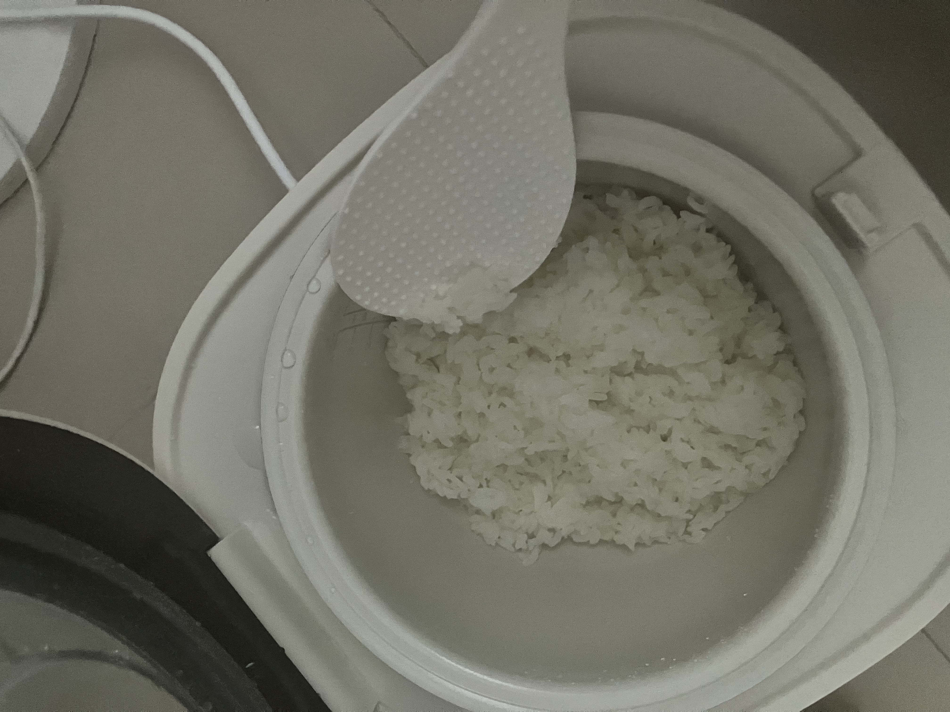 美的（Midea）升级款0氟含钛电饭煲小型1-2-3人迷你家用电饭锅1.8L小容量智能预约多功能微压煲汤小米粥RC182 实拍图