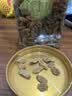 百草味无核绿葡萄干430g罐装新疆吐鲁番特产原料免洗一级大果干零食蜜饯 实拍图