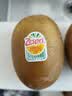 佳沛（zespri）新西兰金奇异果8粒特大果124-146g猕猴桃中秋节礼品送水果礼盒 实拍图