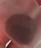 西域美农特级新疆小红杏干350g  0脂高膳食纤维 吊干杏树上杏 无添加零食 实拍图