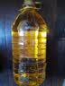 福临门食用油非转基因压榨一级黄金玉米胚芽油4L(富含植物甾醇)家庭 实拍图